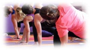 Hatha Yoga Flow Praxis